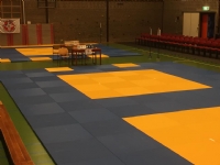 Ook judoka`s BAS Budo in de medailles